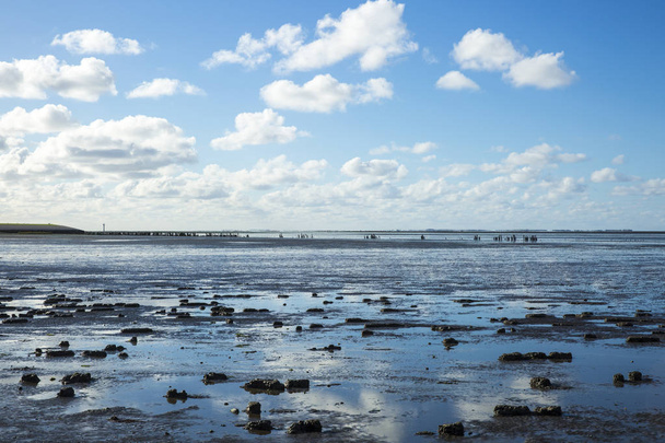 Maritiem landschap met reflectie van wolken in laagwater, Waddenzee, Friesland, Nederland - Foto, afbeelding
