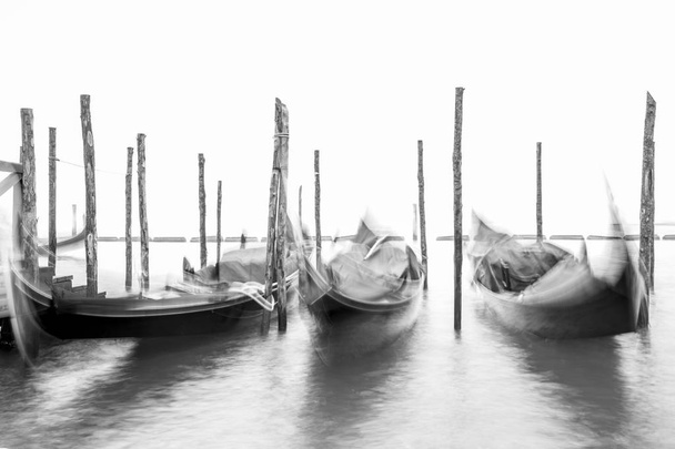 Góndolas en blanco y negro frente a la plaza de San Marco, Venecia Italia
 - Foto, Imagen