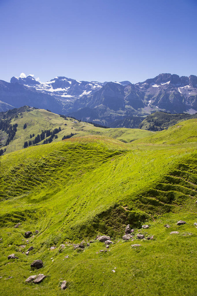 Bucolic zielone lato alpejski krajobraz, Alpy Szwajcarskie masyw górski, Canton du Valais, Szwajcaria - Zdjęcie, obraz