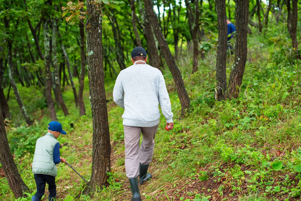 Defocus man and a boy collect mushrooms in the forest. Wildlife active recreation tourism - Zdjęcie, obraz