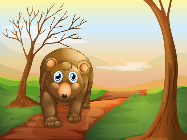 The lonely bear walking - Vector, Image
