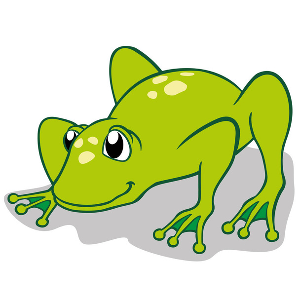 Illustration of a frog. Ideal for educational and cultural materials - Вектор,изображение