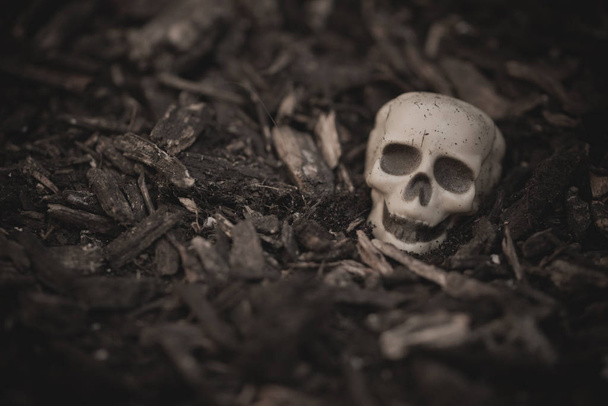 Halom a földön emberi koponyák - Fotó, kép