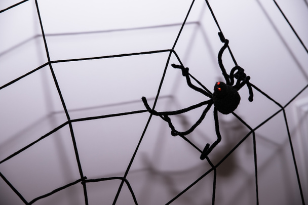 Home Decor na tle ściany. Halloween wakacje koncepcja. Halloween tło z pajęczyny i pająki, jako symbole Halloween na ciemnym niebieskim tle drewnianych. Koncepcja Halloween - Zdjęcie, obraz