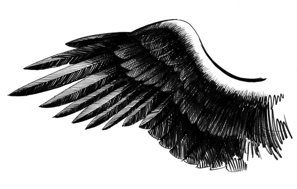 Aile d'oiseau. Illustration en noir et blanc
 - Photo, image
