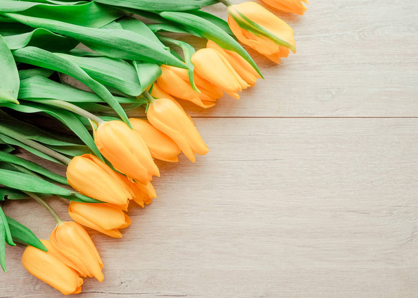 świeże żółte tulipany na drewniane tła. - Zdjęcie, obraz