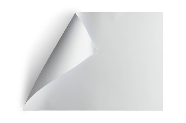 Feuille de papier vierge avec rouleaux isolés sur fond blanc avec chemin de coupe
. - Photo, image