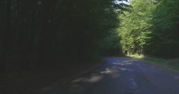 4k - bos weg voorwaarts - Video