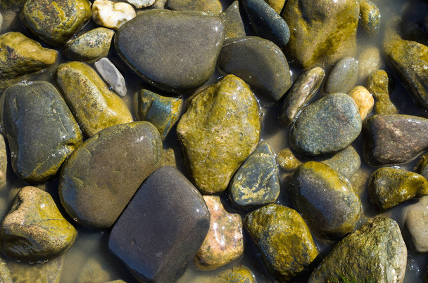 Abstract Achtergrond textuur, Kleurrijke zee stenen in het water, Top View. - Foto, afbeelding