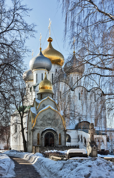Novodevichy Convent, Moscow, Russia - Fotografie, Obrázek