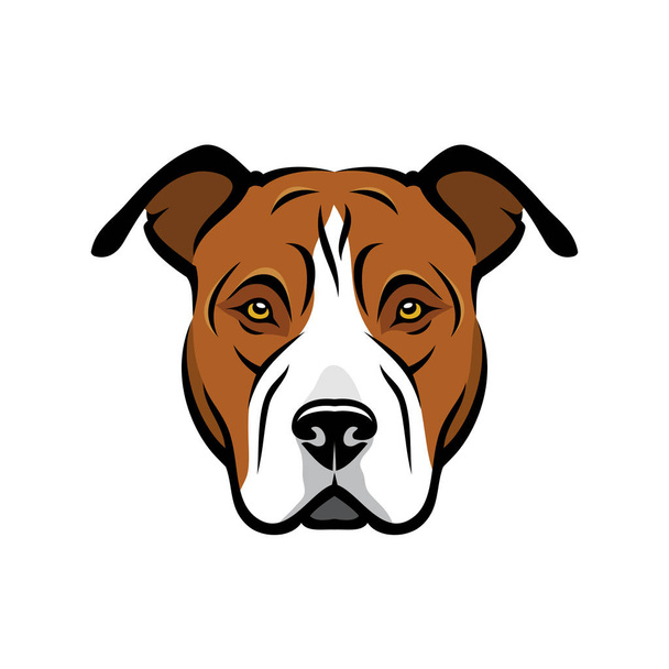 pit bull muzzle head isolated colored illustration - Wektor, obraz