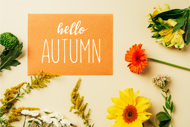 ベージュ色の背景に「こんにちは秋」レタリングとオレンジ カード周りの様々 な野生の花とフラット レイアウト - 写真・画像
