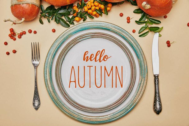 top view of plates and pumpkins with firethorn berries on thanksgiving table with HELLO AUTUMN lettering - 写真・画像