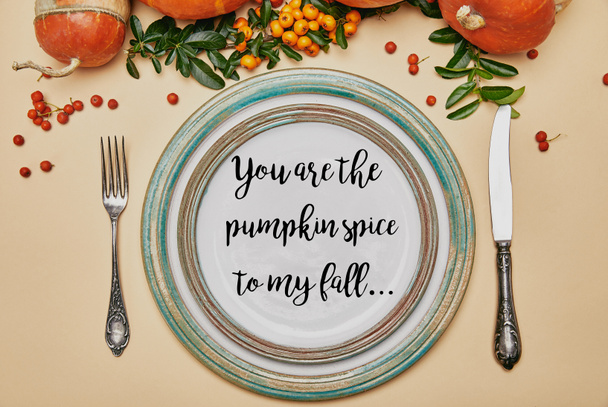 bovenaanzicht van platen en pompoenen met bessen van de Vuurdoorn op thanksgiving tafel met u zijn Pumpkin Spice naar mijn val belettering - Foto, afbeelding