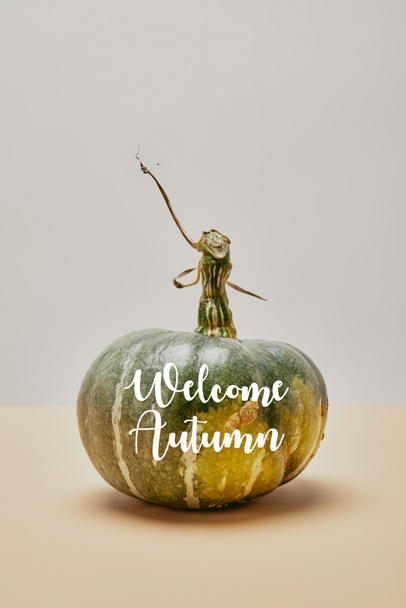 ようこそ秋のレタリングとベージュの卓上の 1 つ秋グリーンパンプキン - 写真・画像