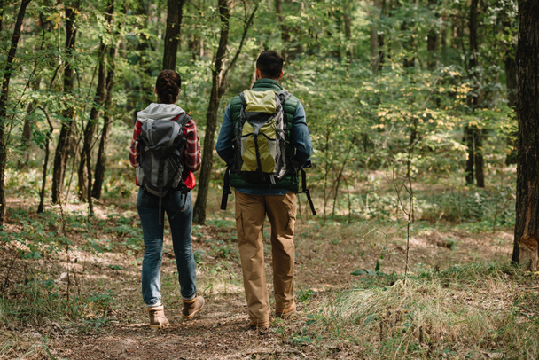 back view of couple of travelers with backpacks hiking in forest - Foto, imagen