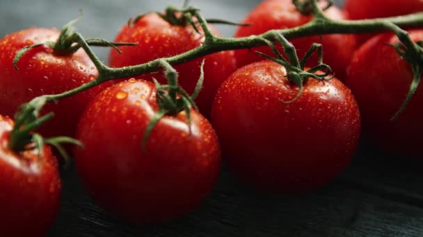 Tomates cereja maduros com baixas no ramo
  - Filmagem, Vídeo