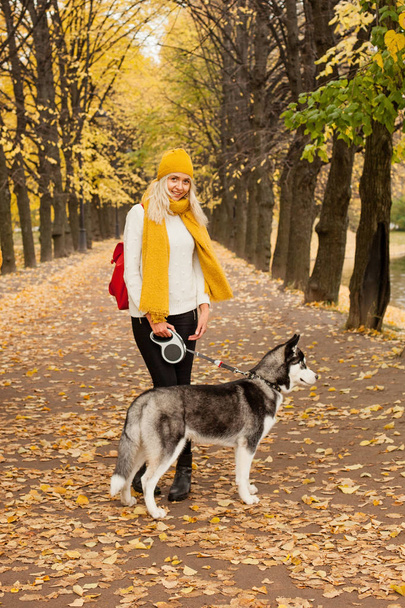 Genç kadın ve köpek sarı sonbahar yolda yürürken - Fotoğraf, Görsel