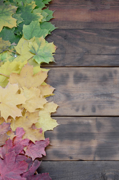 Összetétele a sok lehullott ősszel sárgás levelek a természetes fa táblák, sötét barna színű felület, háttér - Fotó, kép