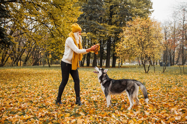 Ładna kobieta z jesiennych liści i pies husky spacery i zabawa zewnątrz - Zdjęcie, obraz