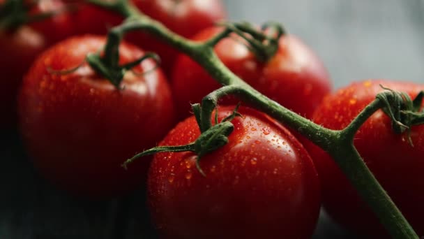 Tomates rojos cereza maduros en rama
  - Metraje, vídeo