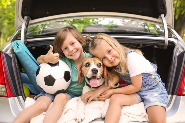 Lindos niños con perro sentado en el maletero del coche
 - Foto, imagen