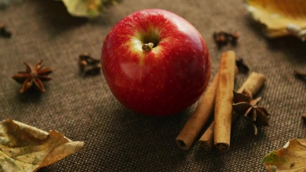 reifer Apfel mit aromatischen Gewürzen - Filmmaterial, Video