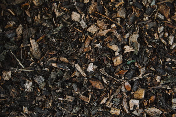 вид сверху маленькие деревянные куски и сушеные листья на земле
 - Фото, изображение