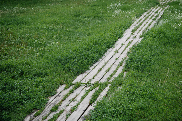 Fußweg aus Holzbohlen, umgeben von grünem Gras - Foto, Bild