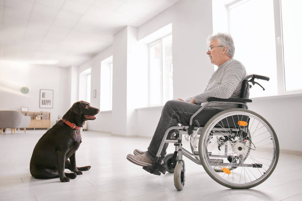 Starszy człowiek na wózku inwalidzkim z psem w domu - Zdjęcie, obraz