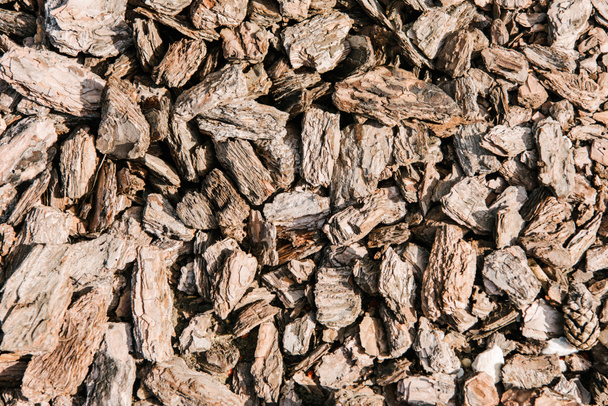 full frame shot of pieces of wooden bark for background - Photo, Image