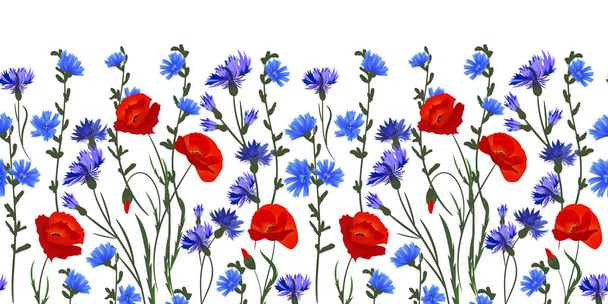 seamless rim. Border with Herbs and wild flowers, leaves. Botanical Illustration Colorful illustration - Wektor, obraz