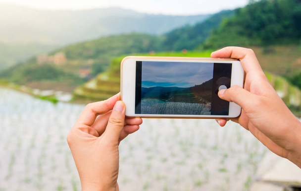 Chica capturar arroz terraza paisaje con un teléfono inteligente
 - Foto, imagen