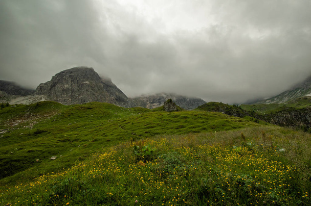 туманное небо над вершиной горы, покрытое пышной зеленью
 - Фото, изображение