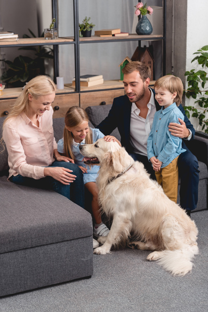 happy young family playing with dog while sitting on couch at home - 写真・画像