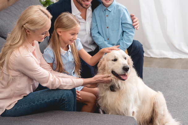 colpo ritagliato di giovane famiglia che gioca con il cane mentre seduto sul divano a casa
 - Foto, immagini
