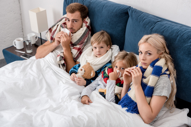 hoge hoek bekijken van ziek jong gezin met servetten samen in bed liggen en kijken naar camera - Foto, afbeelding