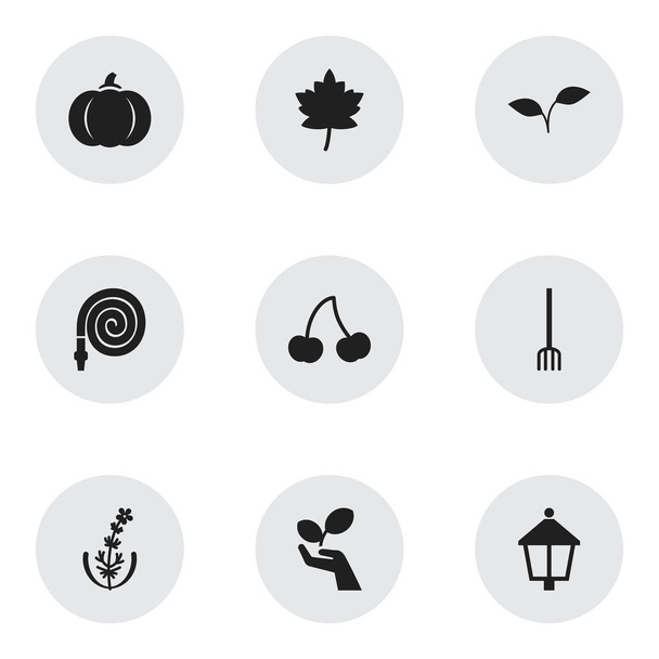 Conjunto de 9 ícones de jardinagem editáveis. Inclui símbolos como jasmim, bordo, salvar a natureza e muito mais. Pode ser usado para web, mobile, UI e design infográfico
. - Vetor, Imagem