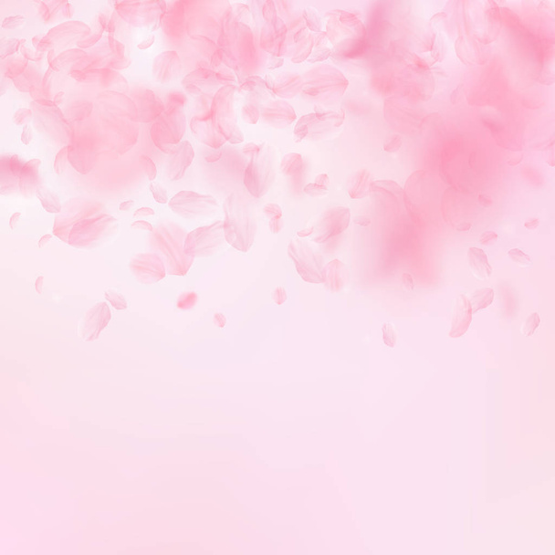 Pétalos Sakura cayendo. Gradiente de flores rosas románticas. Pétalos voladores sobre fondo cuadrado rosa
. - Vector, imagen