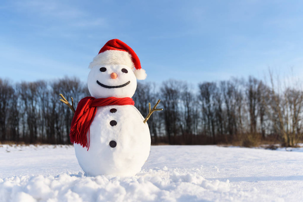 Funny snowman in red hat - Zdjęcie, obraz