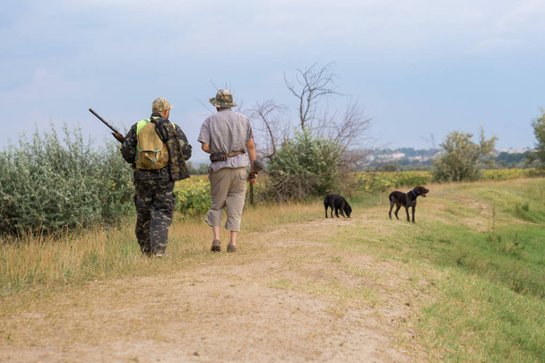 Bir Alman drathaar ve İspanyol, köpeklerle ava güvercin ile avcılar - Fotoğraf, Görsel