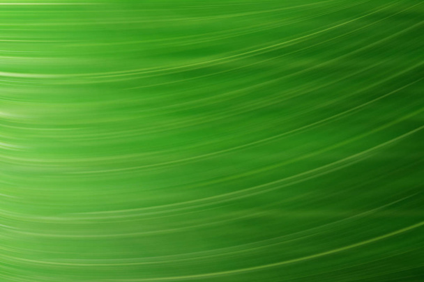 spring light green blurred design, summer background  - Photo, image