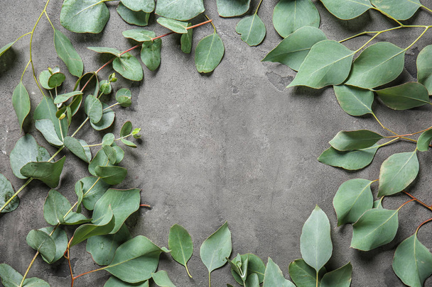 Frame made of fresh eucalyptus leaves on grey background - Foto, afbeelding