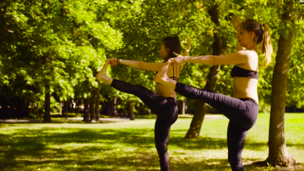 Du yoga. Deux jolies femmes faisant des exercices de yoga dans le parc
 - Séquence, vidéo