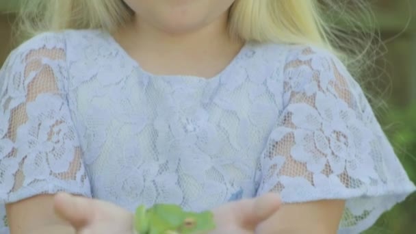 Pré adolescent fille caucasienne tenant une grenouille d'arbre à lèvres blanches dans ses mains  - Séquence, vidéo