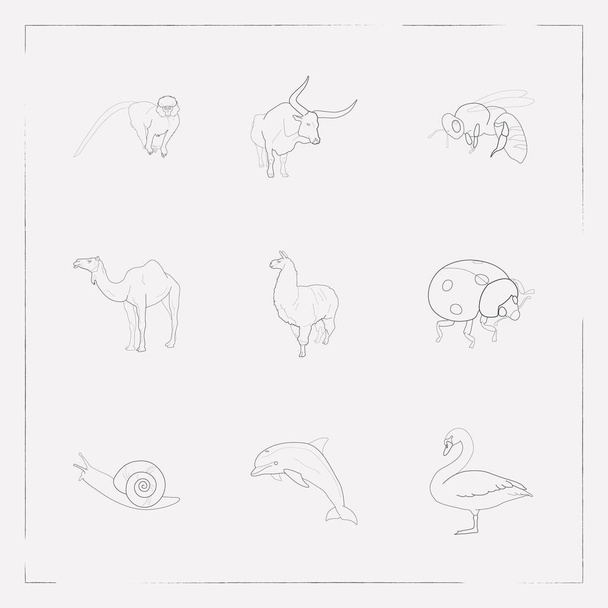 Set of zoo icons line style symbols with dolphin, lama, snail and other icons for your web mobile app logo design. - Διάνυσμα, εικόνα
