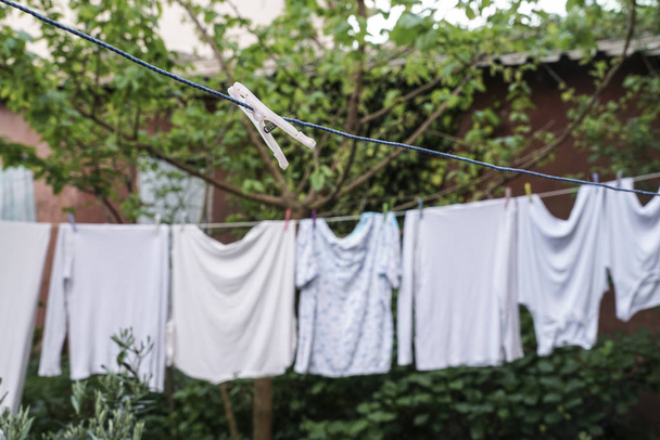 ropa colgada en el jardín para secar
 - Foto, Imagen