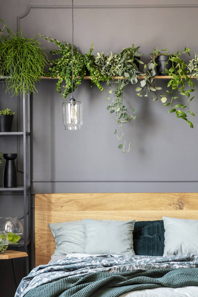 Close-up of plants on a shelf above the bed with pillows and blanket - Foto, imagen