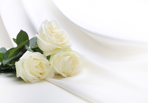 roses bouquet on silk - Foto, imagen