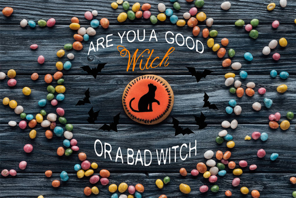 elevated view of composition with homemade halloween cookie surrounded by colorful candies on wooden table with "are you a good witch or a bad witch" lettering - Photo, Image